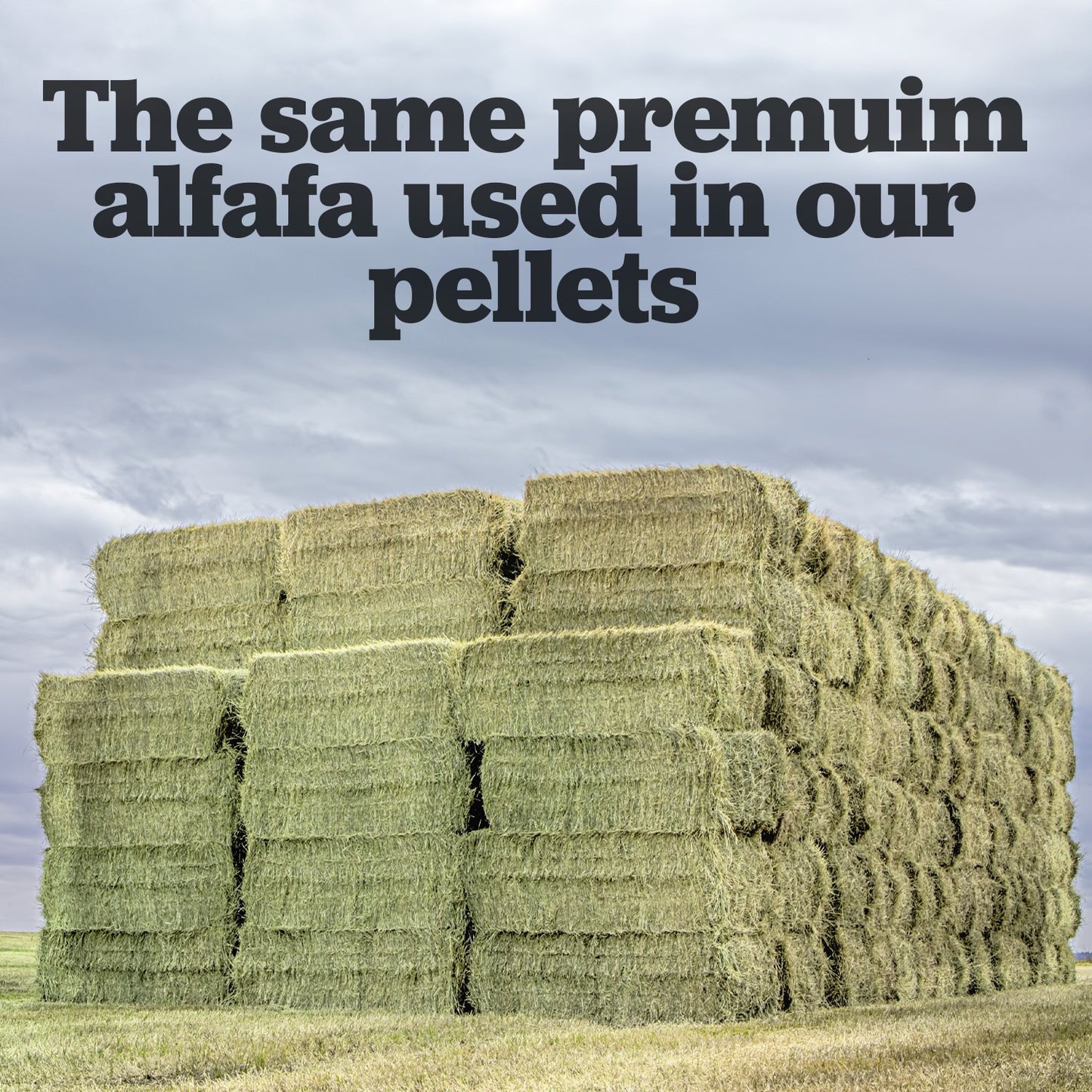 3x4x8 Hay Bale