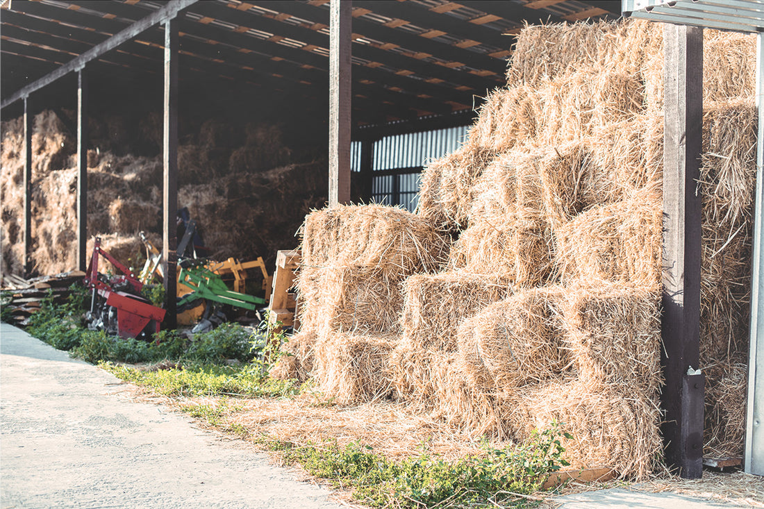 The Reality of Switching to Pellets from Hay