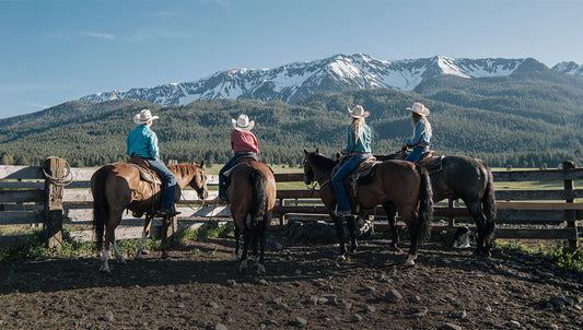 Weed-Free Horse Feed: A Trail Rider's Guide to Pellets, Hay & Public Land Rules
