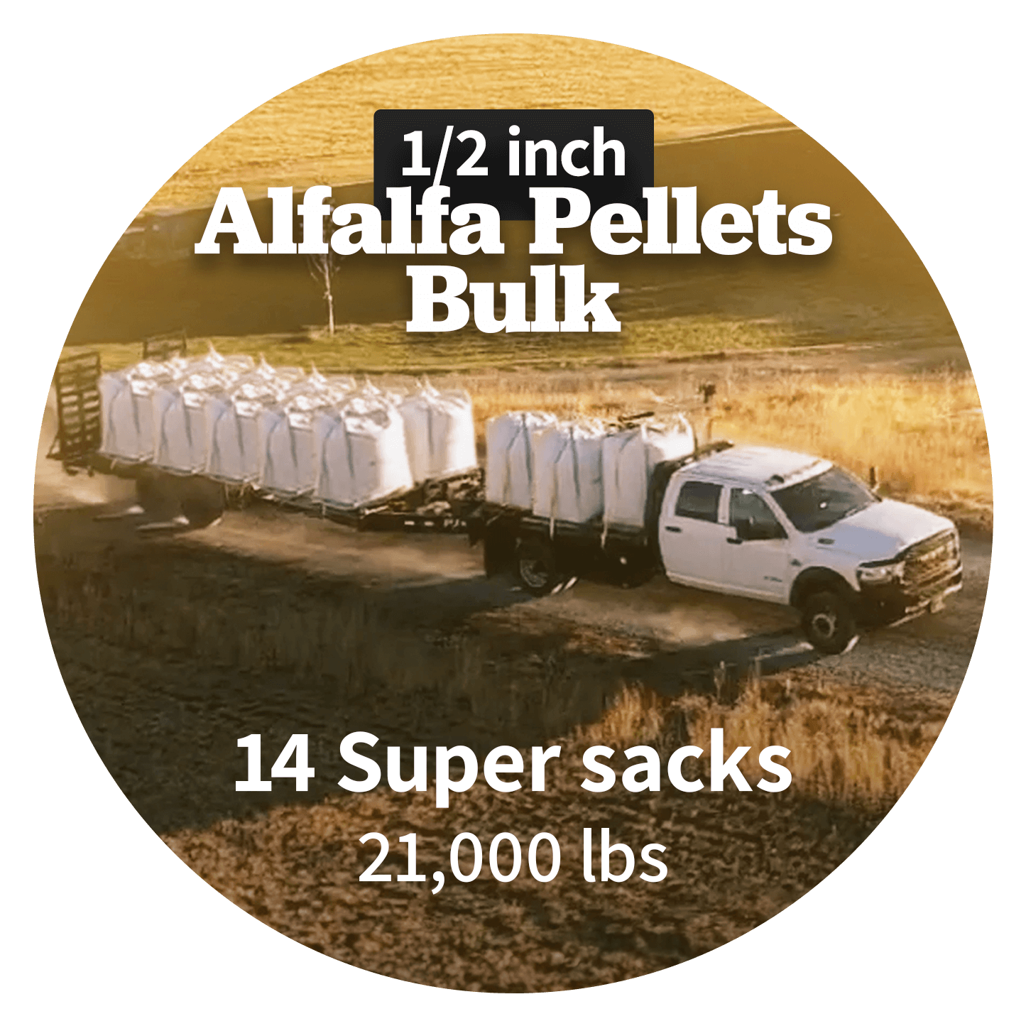 Alfalfa Pellets