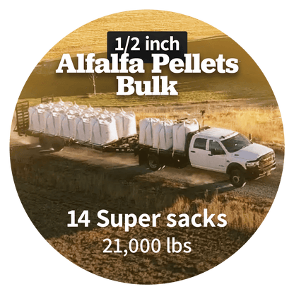 Alfalfa Pellets