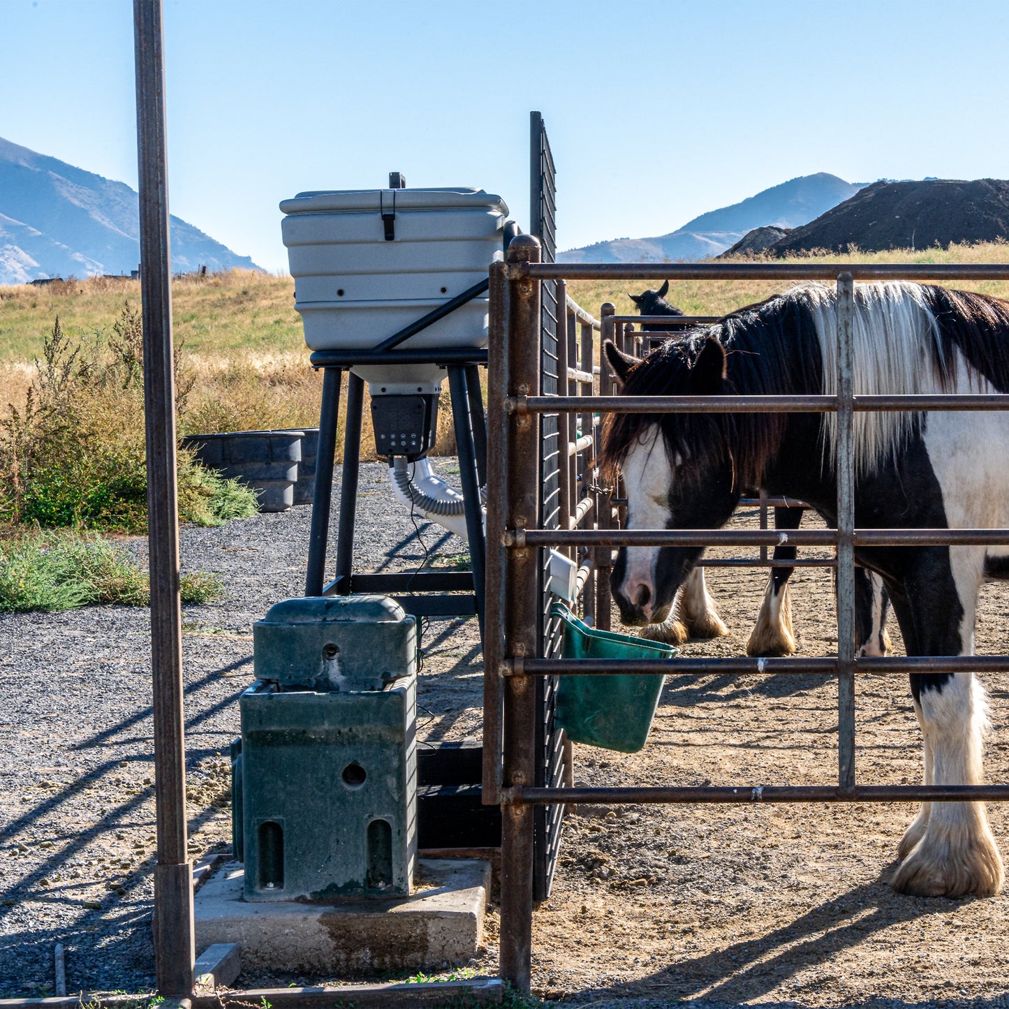 Portion Pro - Smart Weatherproof Feeder