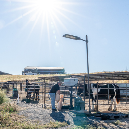 Portion Pro - Smart Weatherproof Feeder