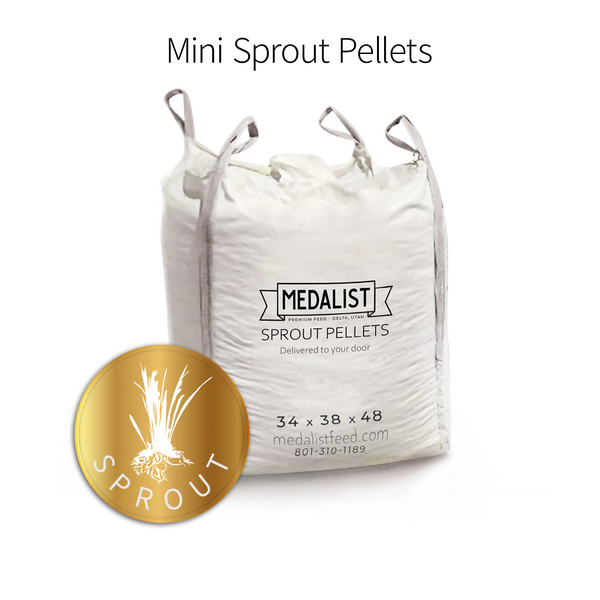 Wood Pellets 15kg | 61484