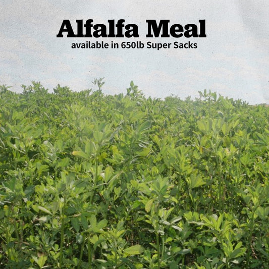 Alfalfa Meal