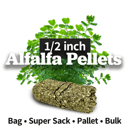 Alfalfa Pellets