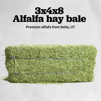 3x4x8 Hay Bale
