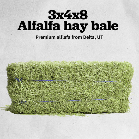 3x4x8 Hay Bale