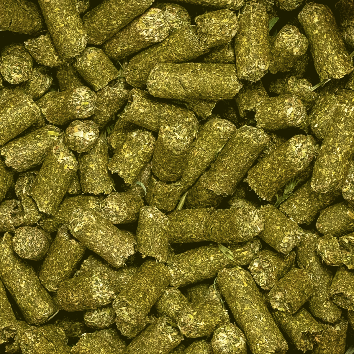 pellets close-up