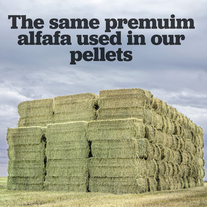 3x4x8 Hay Bale